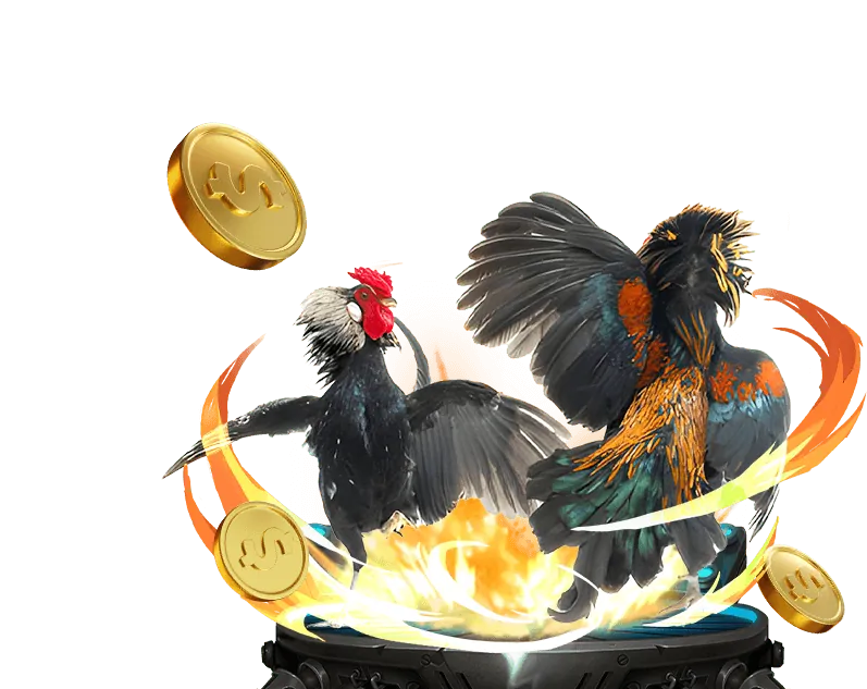 Các loại kèo cược đá gà phổ biến tại Fiv88